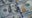Chicago man pleads guilty to $5 million utility fraud scheme